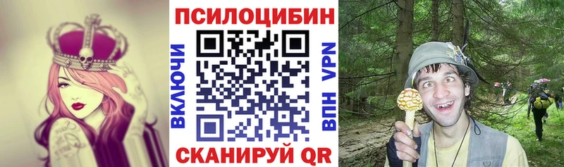 где купить наркоту Сельцо OMG зеркало Галлюциногенные грибы мухоморы